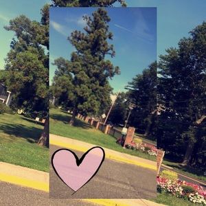 Meet your Posher, Daphne